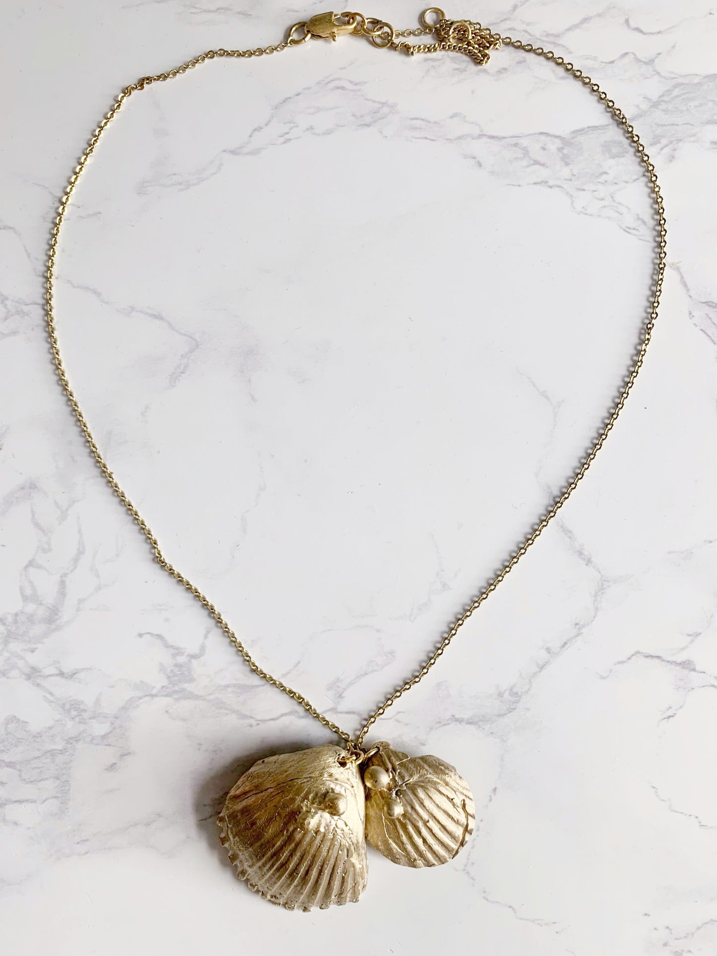 Shell Duo: Scallop + Lunarca Shell Pendants