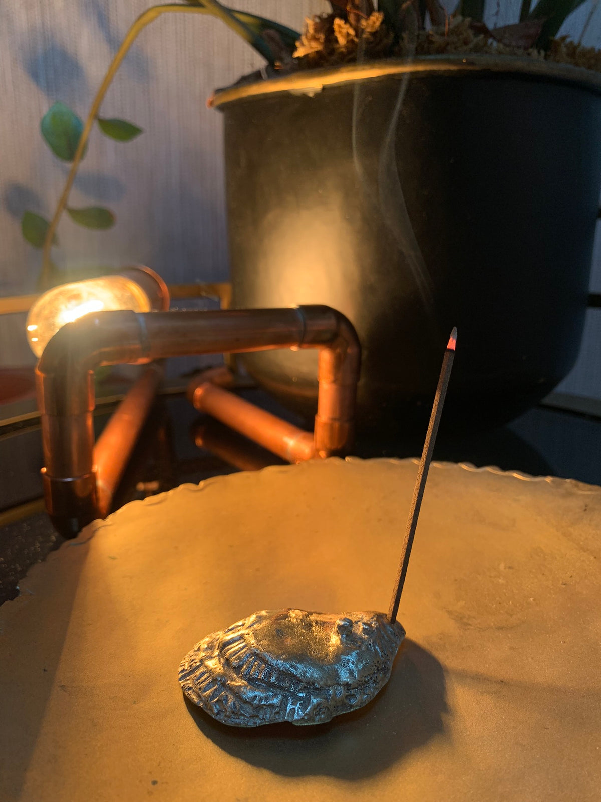 Oyster Shell Incense Holder