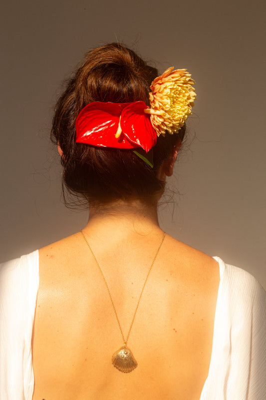 Scallop Shell Necklace